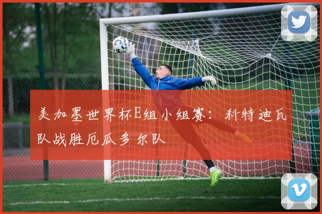 美加墨世界杯E组小组赛：科特迪瓦队战胜厄瓜多尔队